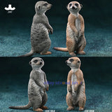 JXK 1/6 Meerkat Model Pet Figure Scene Decor Collection Animal Painted Gift Model
