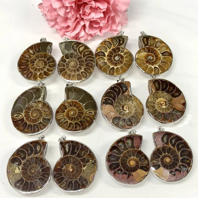 Wholesale Lot 12 Pcs Ammonite Pendant With Rhodium Findings Natural Crystal Charms