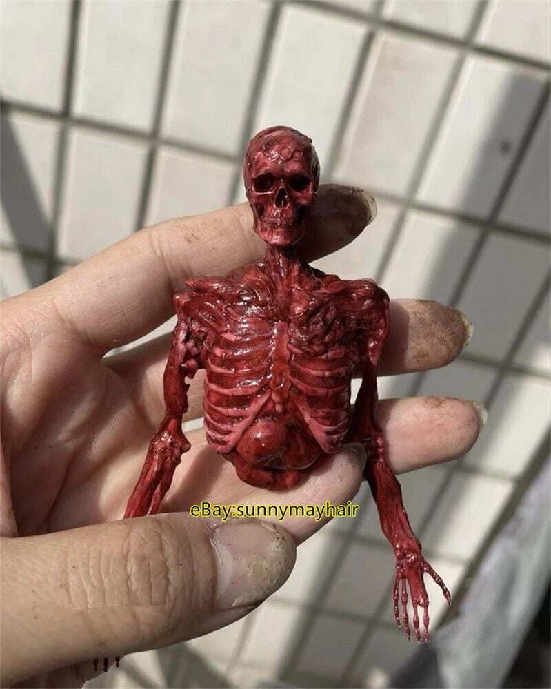 1:6 Skull Model Half-body Flesh Blood Skeleton Props For 12" Action Figure Toys Model