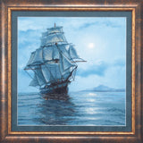 DIY Cross stitch kit "The Moon's light" Model