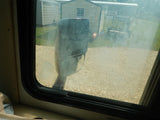 Foggy RV Windows: Permanent Solution DIY RV Foggy 3/16" Spacer Kit 10' long Model