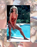 Farrah Fawcett In Bathing Suit Sitting On Pool Spring Board 8x10 Photo Model