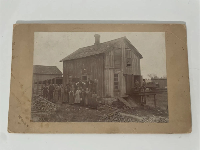 Antique Board Occupational Photo, Farm Apple Harvest, Bad River Rez Wisconsin Model