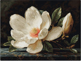 DIY Needlepoint Kit The Magnolia Cross-Stitch Craft Set for Home Decor & Gifting Model