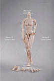 1/6 Flexible Female Body Small Chest Suntan Skin 12'' Action Figure Model Toy Model