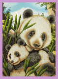 Bead embroidery kit Cutie pandas hand embroidery needlework kit Model