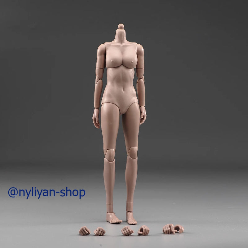 1/6 Female Middle Chest Suntan Skin 12''Flexible Body Action Figure Model Toy Model