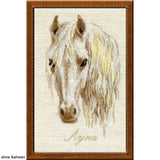 Riolis counted cross stitch Kit Moon, DIY Model