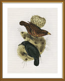 Counted cross stitch kit DIY unprinted canvas Two birds embroidery needle 2274 Model