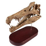 Spinosaurus aegyptiacus Dinosaur Statue skull model Animal Display 3D printing Model