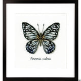Vervaco Counted cross stitch kit LMV Blue butterfly, DIY Model