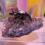 Amethyst Purple Crystal Cluster Display Specimen w/ Black Triceratops Figurine Model