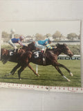Aqueduct Racing Photo On Backing Board 16x20 Model
