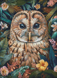 Tawny owl Face Flowers - Counted Cross Stitch Kits Needlework Embroidery DIY Model