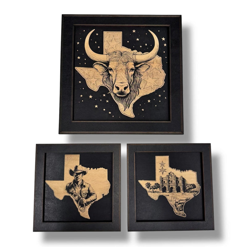 Framed Art - Texas SET of 3 Pictures Model