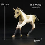 BROWNBY COLT Model Animal Model For 1/6 Action Figure Scene Accessories@! Model