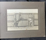 8x10 HORSE & TRAINER SHORB CALIFORNIA BOARD PHOTO Model