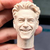 1/6 Scale Unpainted Smile Tony Stark Head Carving Sculpt Model Toys Model