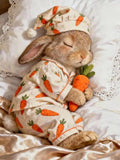 Cute Rabbit DIY Diamond Art Kits for Adults, 5D Diamond Painting Kits Model