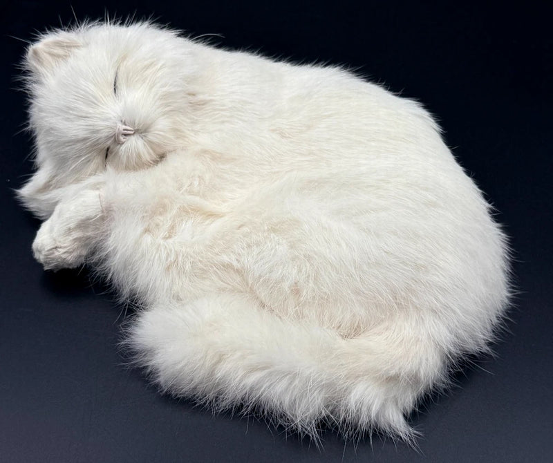 Lifelike All White Sleeping Cat Kitten Figurine Realistic Curled Up Rabbit Fur Model