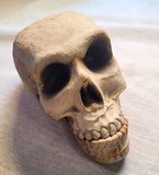 Decorative Collectible Skull Figurine Sculpture Display Decor Collectible Figure Model