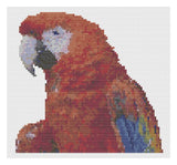 Cross Stitch Pattern by Florashell - Macaw Model