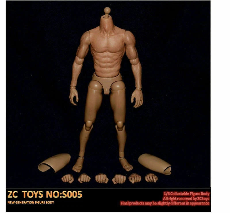 ZC TOYS 1/6 Asian Muscular Man Body S005 Narrow Shoulder Action Figure Model Model