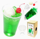 Food Sample Kit Replica Samplen Melon Float Do It Yourself DIY Kit Made in Japan Model