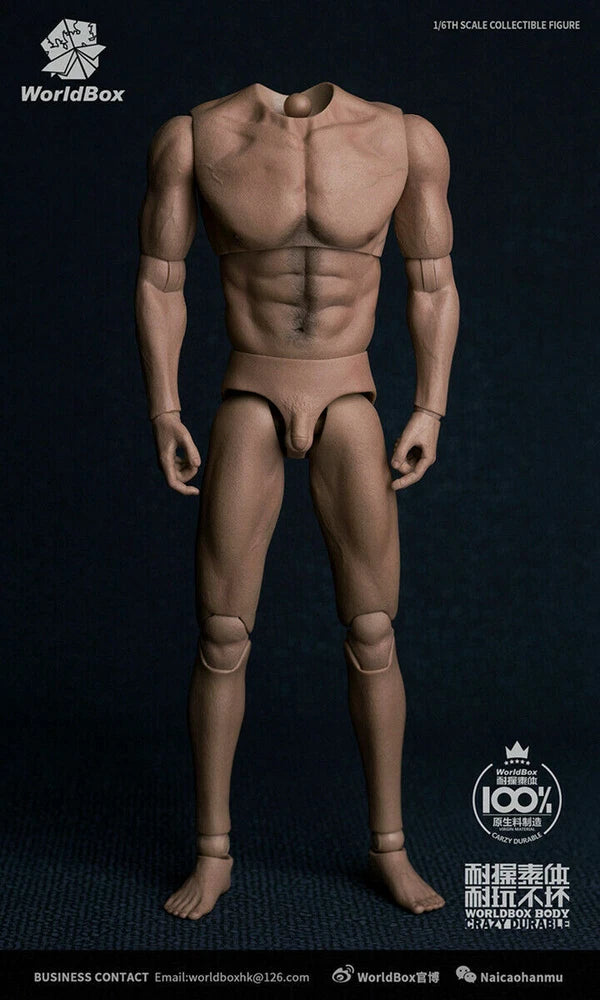 WorldBox1/6 Wide Shoulder Muscle Body 12'' Male Figure Fit Long Neck Head Model Model
