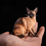 1/6 Scale Siamese Cat Model Animal Figure Home Car Prop Sence Ornament Model