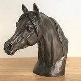Bronze Arab Horse Head Sculpture Figurine Ornament Decoration Bust Harriet Glen Model