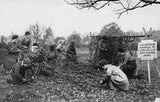 Group women help war effort by making camouflage nets, a board an  Old Photo Model