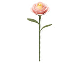 Robotime Light Pink Camellia DIY Miniature 3D Plastic Model Kit [ROEAD012] Model