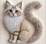 5D Special Shape Diamond Art Kits for Beginners, Diamond Painting Kits for Adult Model