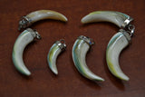 6 PCS ASSORT PEARL GREEN JADE TURBO SHELL PENDANTS #P-216 Charms
