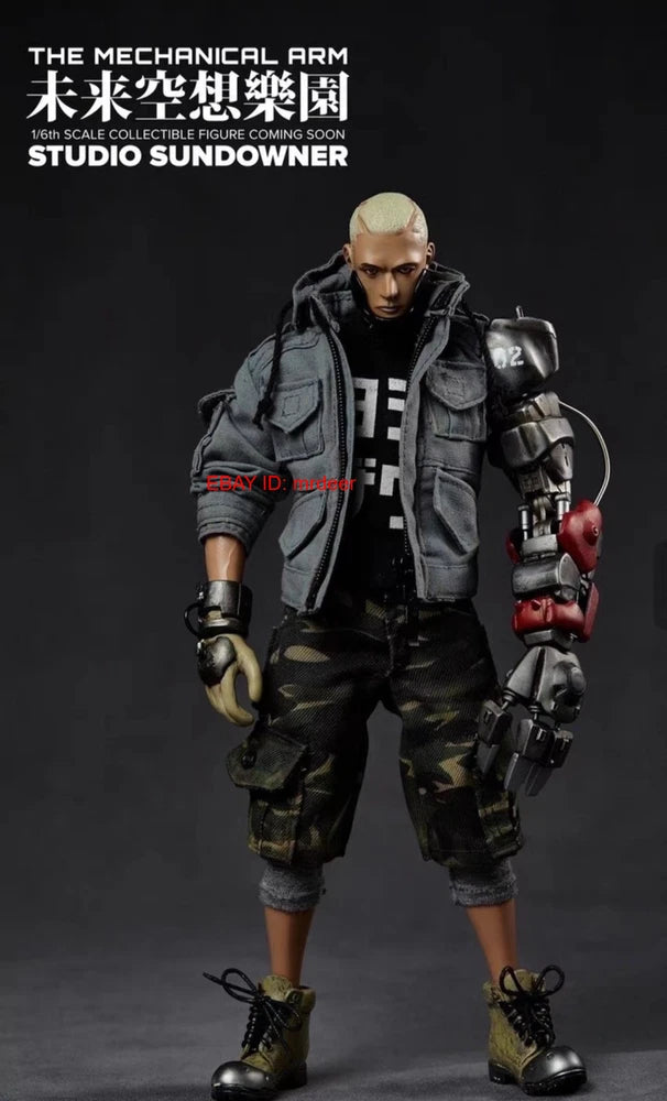 Sundowner Studio The Mechanical Arm Future Fantasy Park 1/6 Action Figures Model Model