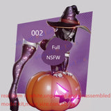 Witch Raven Lady 1/6 Unpainted Model Kit Unassembled 3D Printing 19cmH 002 NSFW Model