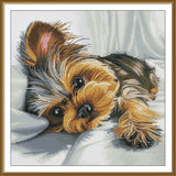 DIY Tinted canvas cross stitch kit "Harnyunya" Dog Craft Art Unique Gift Model