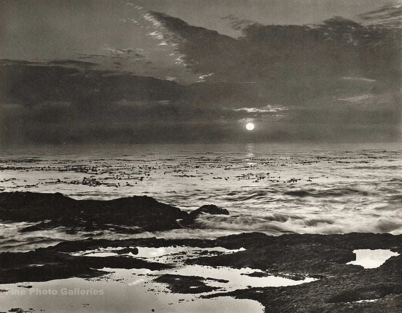 1963 Vintage WYNN BULLOCK California Seascape Kelp Landscape Photo Gravure 12X16 Model