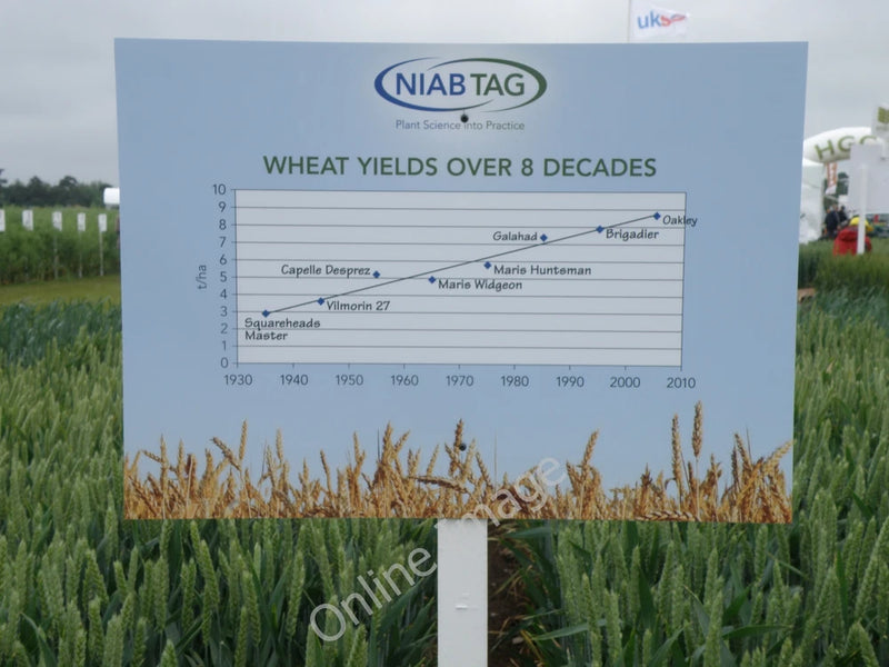 Photo 6x4 NIAB display board, Cereals 2010 Heydon/TL4340 A simple graphi c2010 Model