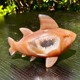 355G Natural Agate Hand Carved Shark Figurine Crystal Gemstone Decor Model