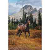 Diamond Art Club Rocky Mountain Freedom Diamond Painting Model