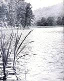 Vintage Art Board Photograph Serene Lake View with Lush Green Forest Backdrop Model