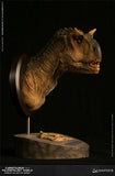 New DAMTOYS Carnotaurus Female Head Bust Dinosaur Statue Model Display MUS006A Model