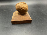 Vintage Wooden Walnut Shell Paperweight Handcrafted Wood Display Figurine Model