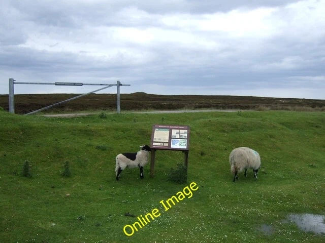Photo 6x4 Information board and sheep Rosedale Abbey Car park near bank T c2014 Model