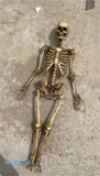 Unassembled 1:6 Full Body Skeleton Skull Model Props For 12" Action Figure Toys Model