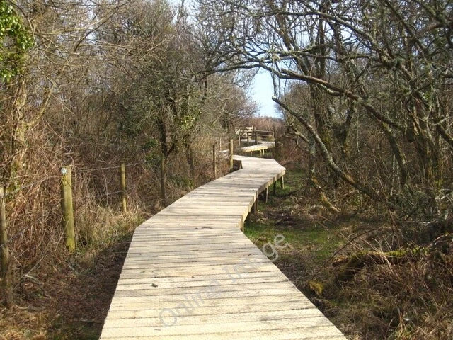 Photo 6x4 Board walk north of Ruan Pool Ruan Major Cornwall Wildlife Trus c2010 Model