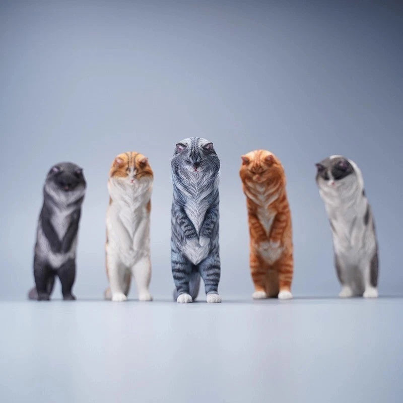 1/6 Scale Maine Coon Cat Model Animal Figure for 12" Figures Prop Sence Ornament Model