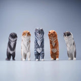 1/6 Scale Maine Coon Cat Model Animal Figure for 12
